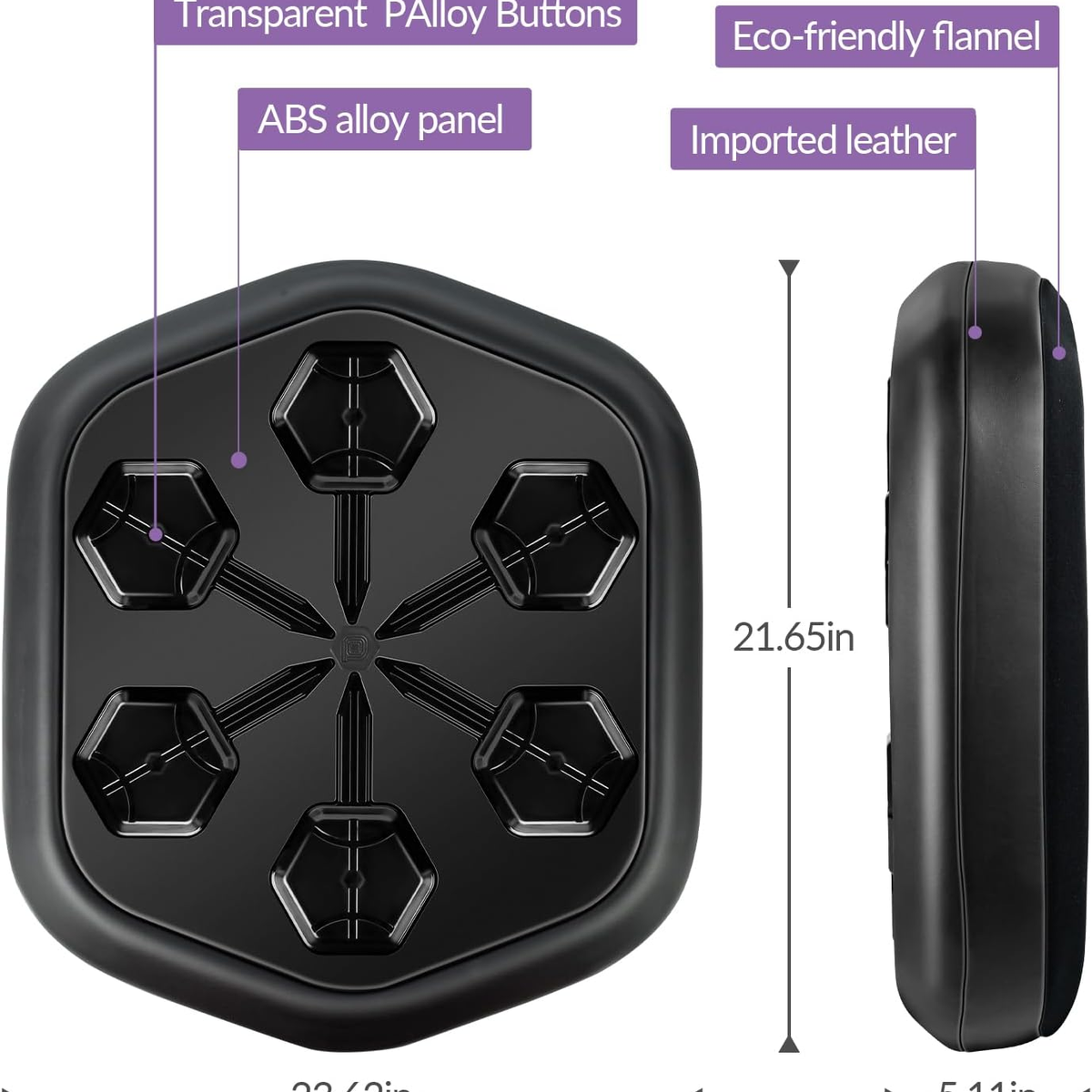 HomeBox™ Music Boxing Pro